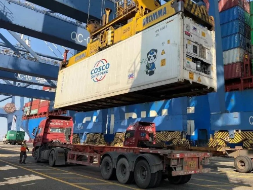 COSCO SHIPPING “Cherry Express” Delivers Chilean Cherries to Meet China’s Market Demand during the Spring Festival