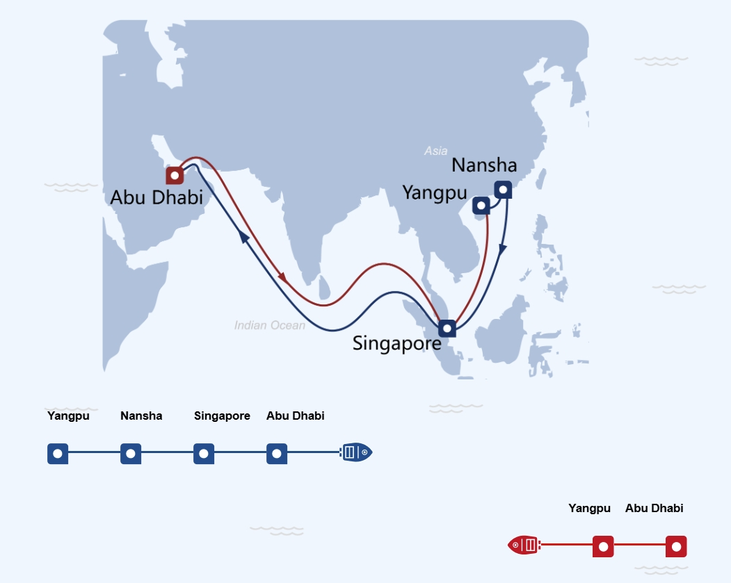 Yangpu International Container Terminal Upgrades Middle East Route Frequency Again